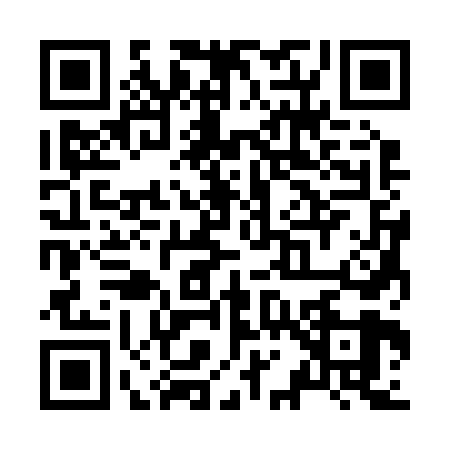 QR code for Z132695