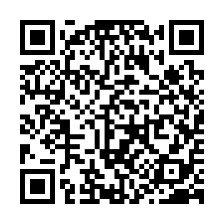 QR code for Z13318