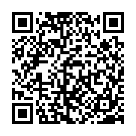 QR code for Z13337