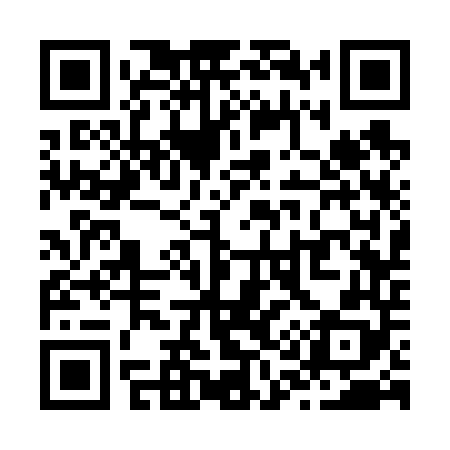 QR code for Z13648