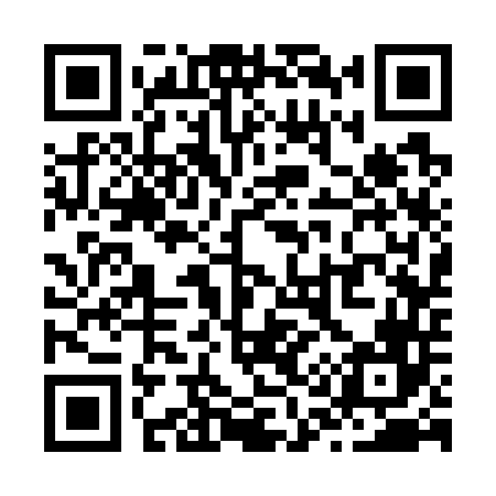 QR code for Z13746