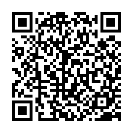 QR code for Z17545