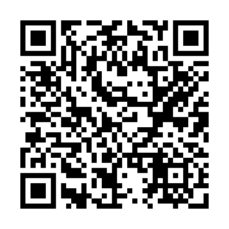 QR code for Z18339