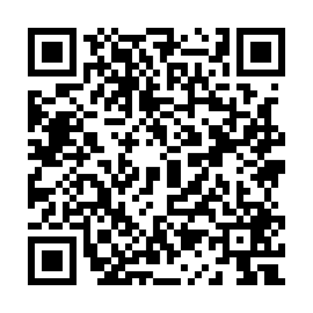 QR code for Z191491
