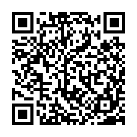 QR code for Z19294