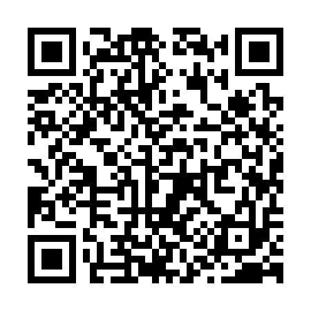 QR code for Z19313