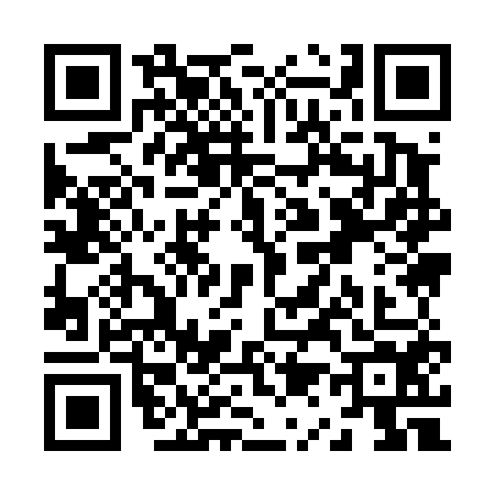 QR code for Z194545