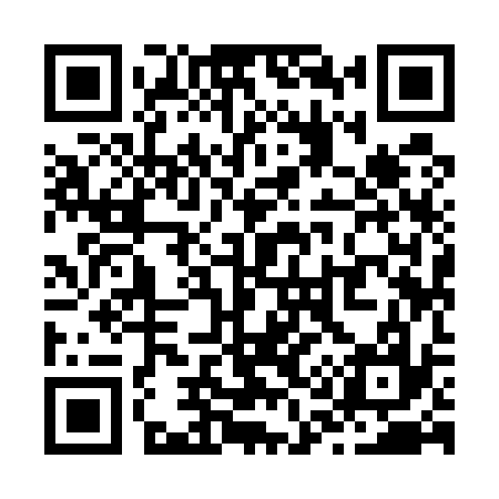 QR code for Z19537