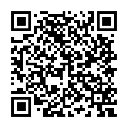 QR code for Z19555