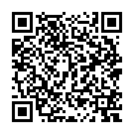 QR code for Z196003