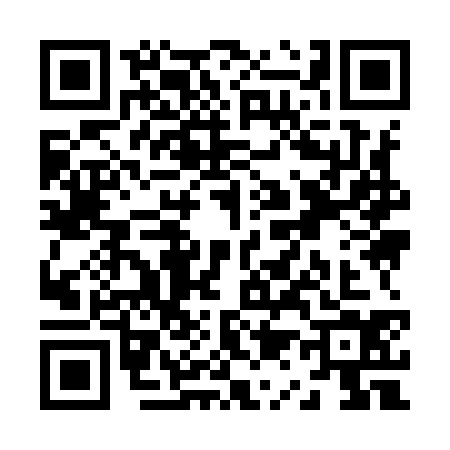 QR code for Z199345