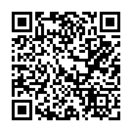 QR code for Z20463