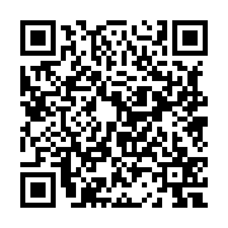 QR code for Z208374
