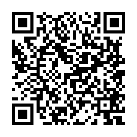 QR code for Z208497