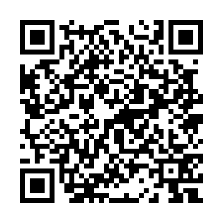QR code for Z210739