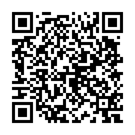 QR code for Z21411