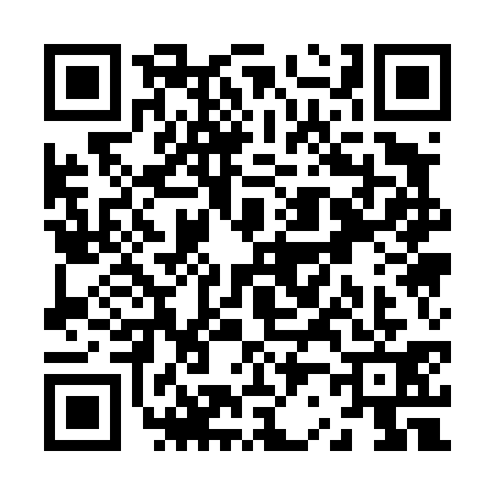 QR code for Z214313