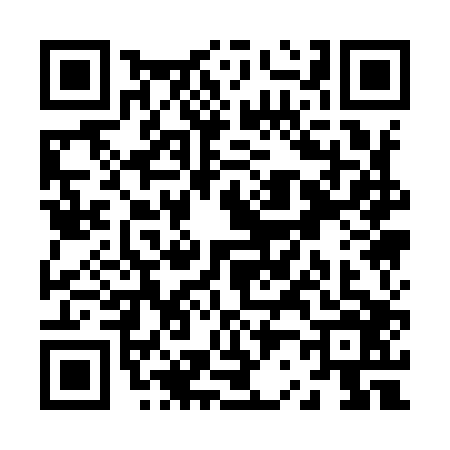 QR code for Z219063