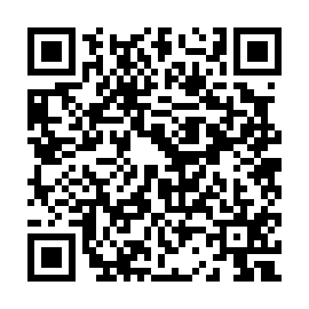 QR code for Z220153
