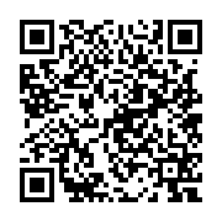 QR code for Z221641
