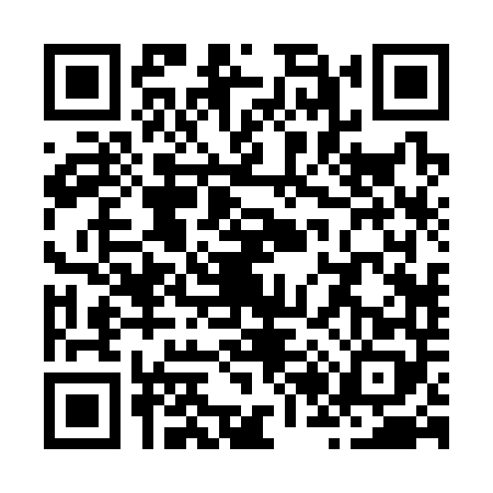 QR code for Z223485