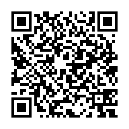 QR code for Z232384