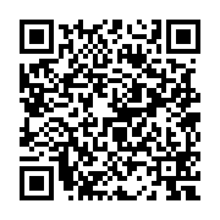 QR code for Z235991
