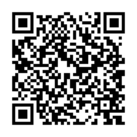 QR code for Z242463