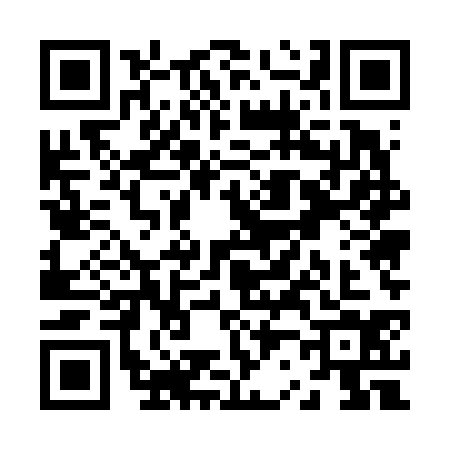 QR code for Z256347