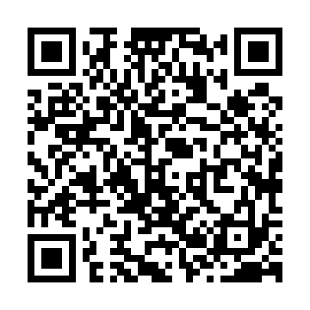 QR code for Z28533