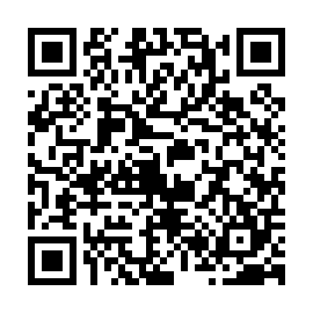 QR code for Z290040