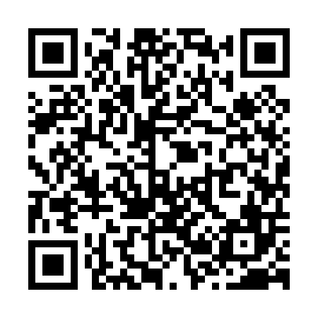 QR code for Z29006