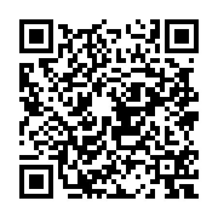 QR code for Z290148