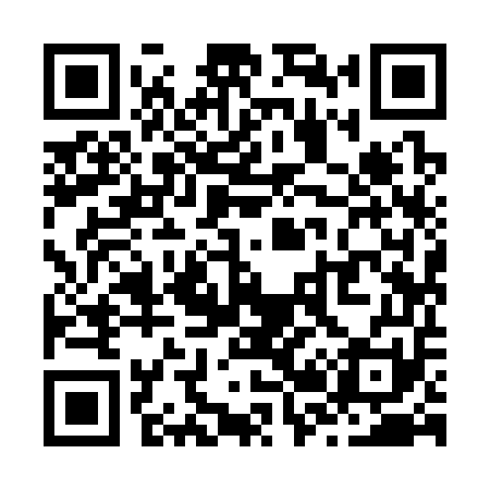 QR code for Z29351