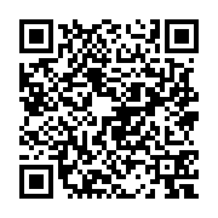 QR code for Z295705