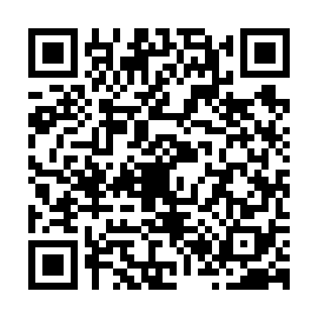 QR code for Z296783
