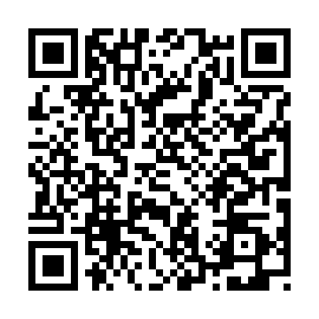 QR code for Z307208