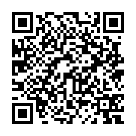 QR code for Z310341