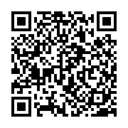 QR code for Z31221