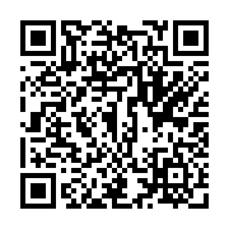 QR code for Z313355
