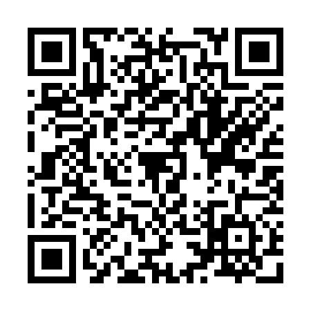 QR code for Z313743