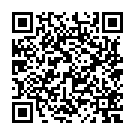QR code for Z318095