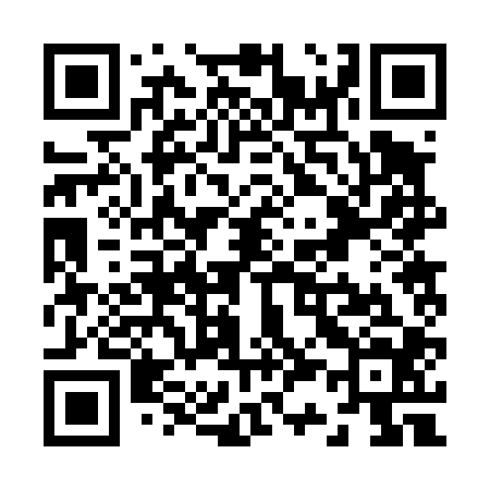 QR code for Z32404