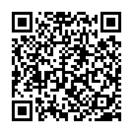 QR code for Z32739