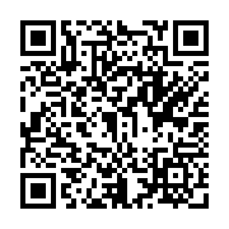 QR code for Z333674