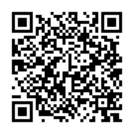 QR code for Z334294