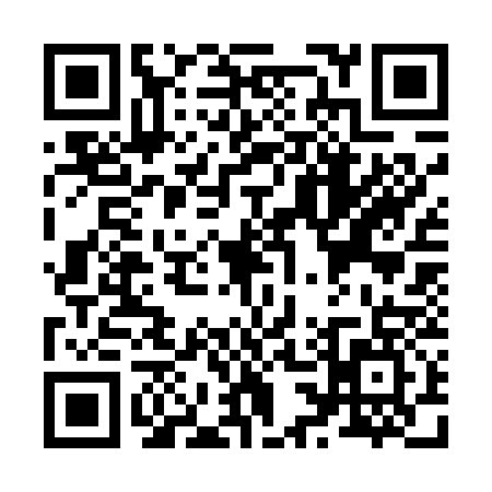 QR code for Z334376