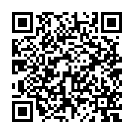QR code for Z335172