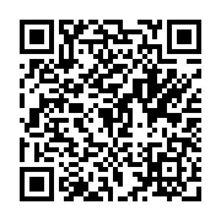 QR code for Z335895