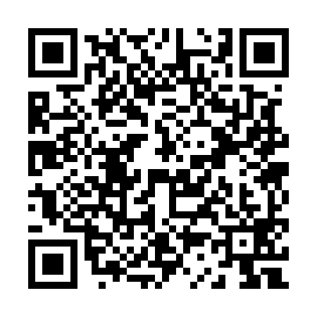 QR code for Z335995